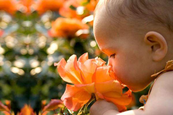Aromaterapia para mães e filhos: dicas de óleos e cuidados