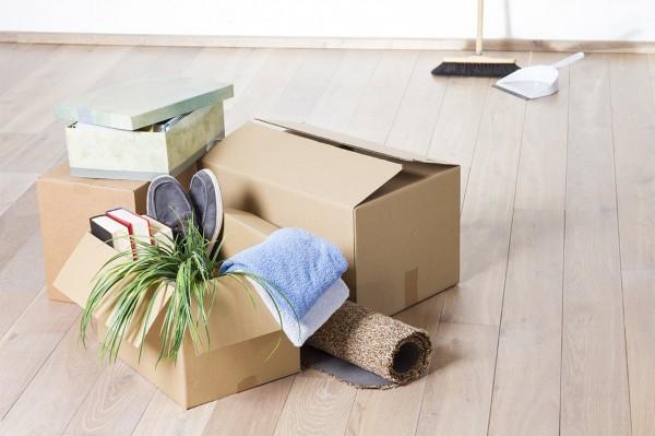 Sabia que organizar sua casa pode trazer mais felicidade?