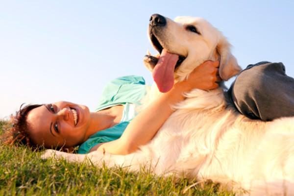 Animais de estimação deixam o dia divertido