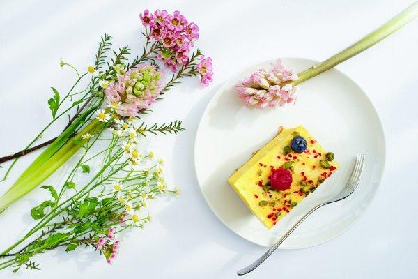 Flores podem ser usadas no preparo de comidas