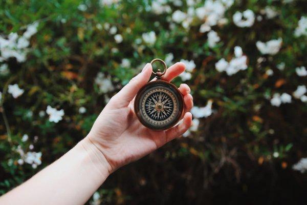 Você sente dificuldade em encontrar seu propósito?