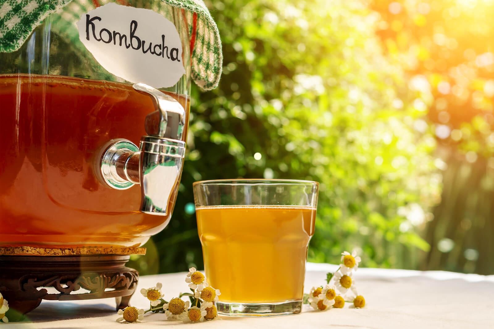 Kombucha: o que é e como fazer