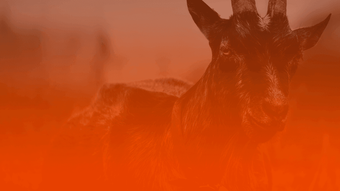 Mês de Capricórnio: descubra como aproveitar esse período