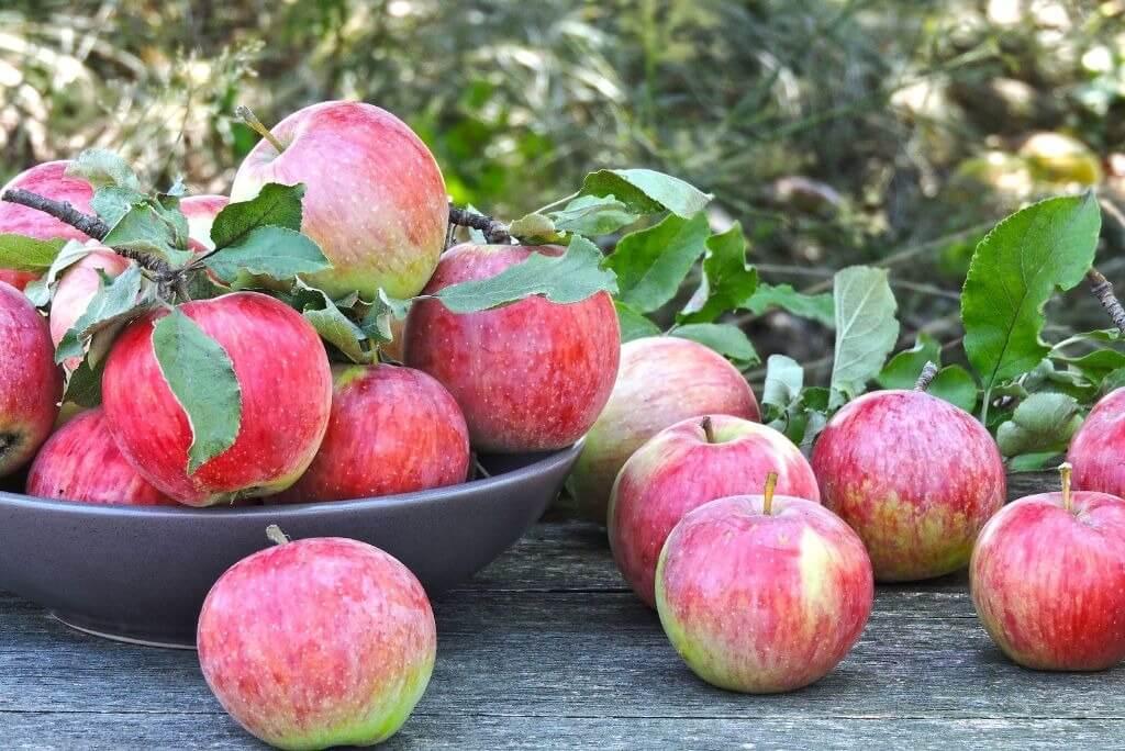 Frutas de março: faça a escolha certa para a época