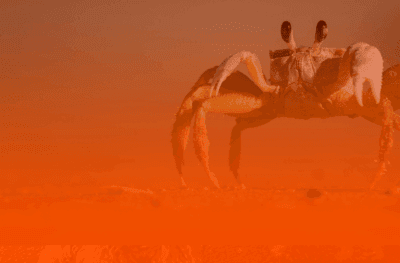 Mês de Câncer: como seu signo pode aproveitar