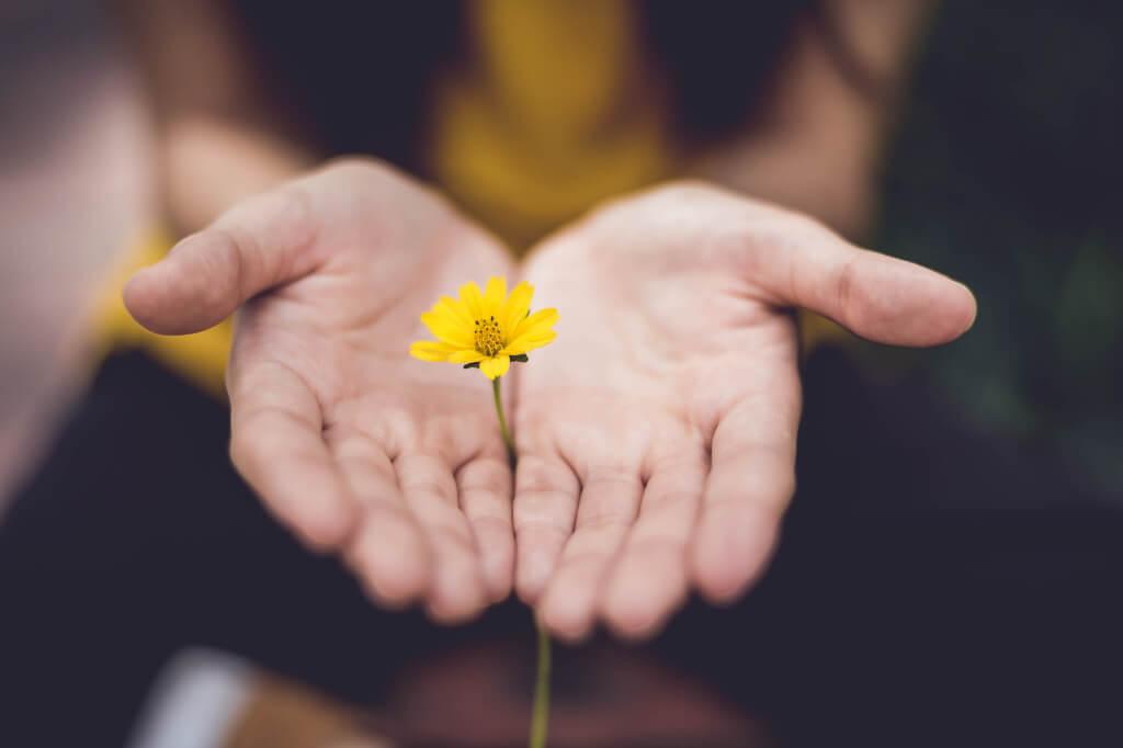 Reflexão sobre a vida: a beleza do caminho