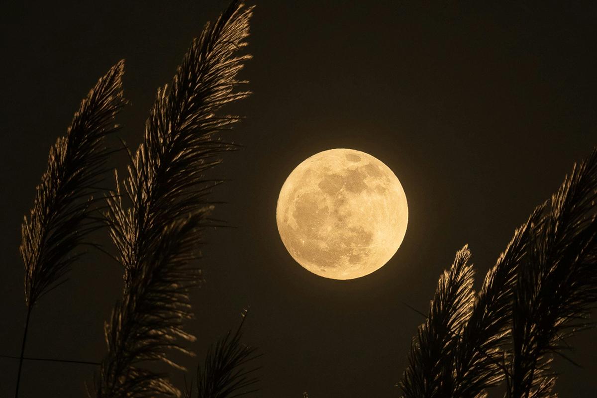 Lua Cheia e boas notícias para o amor: as previsões da semana de 11 a 17/05