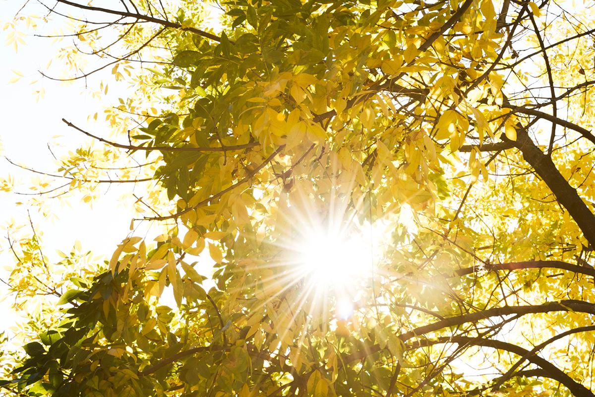 Animação e bom humor com Sol em Gêmeos: as previsões da semana de 18 a 24/05