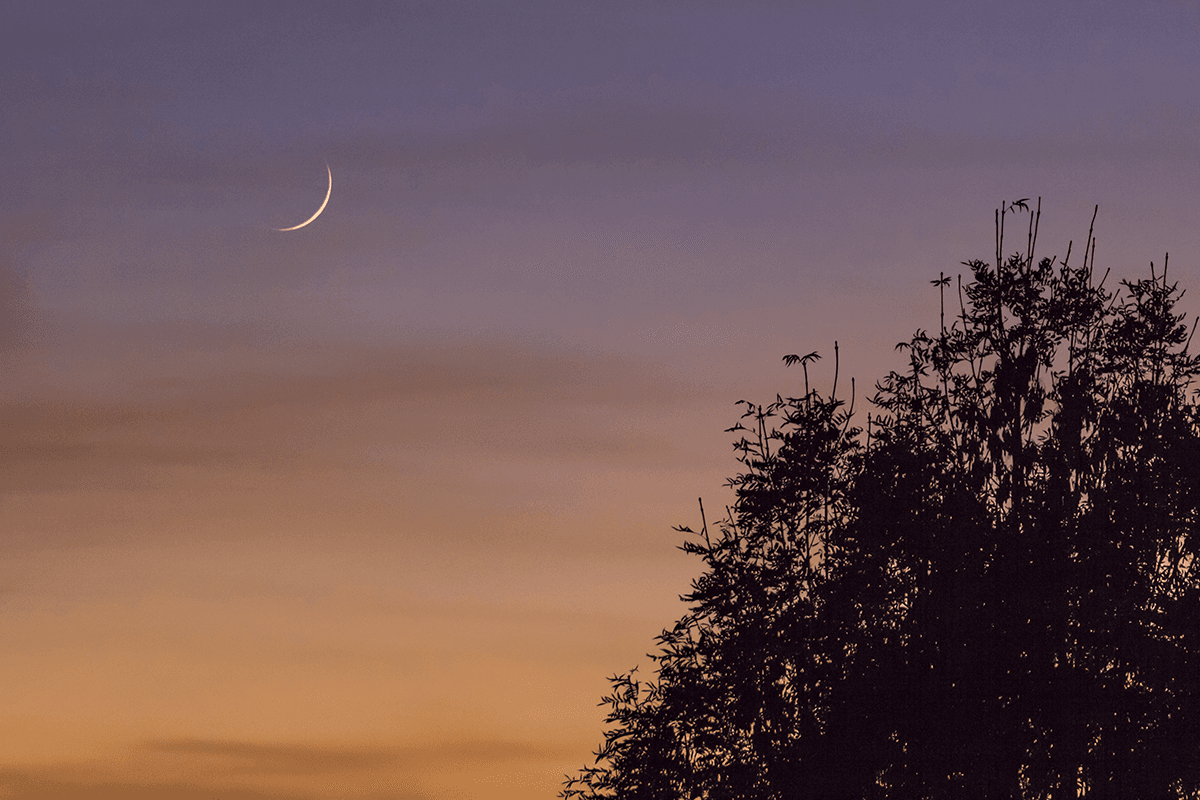 Lua Nova e montanha-russa emocional nas previsões da semana de 22 a 28/06