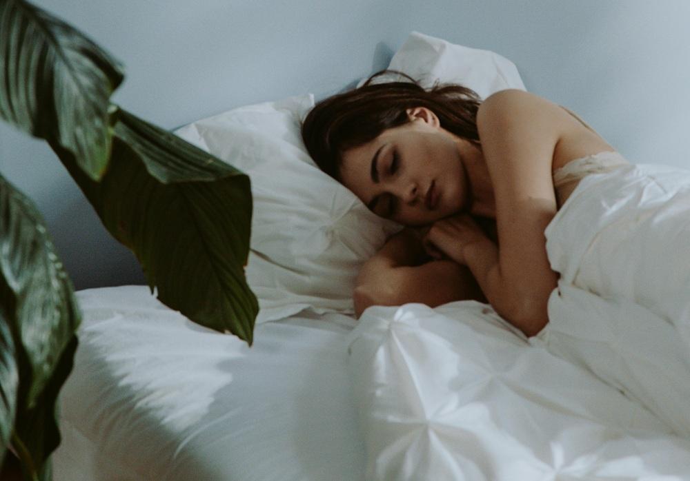 5 plantas para o quarto que melhoram sono e limpam o ar